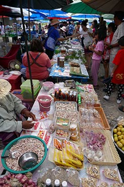 IMG_MA19-80