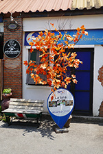 IMG_MA19-99