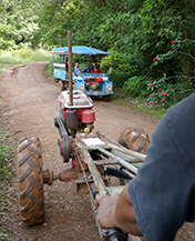 IMG_NO18-42