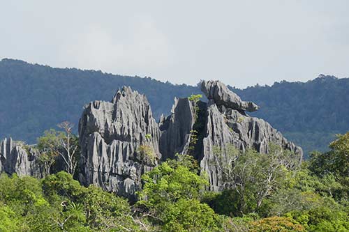 IMG_NO18-49
