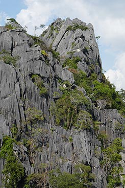 IMG_NO18-54