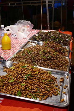 IMG_OKT19-46
