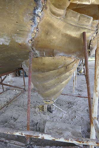 IMG_OKT19-53