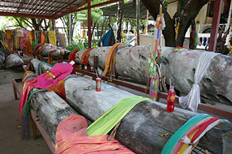 IMG_OKT19-61