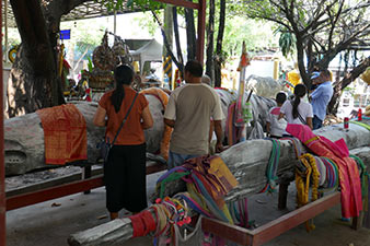 IMG_OKT19-66