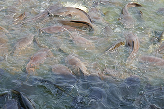 IMG_OKT19-75