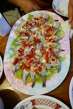 IMG_OKT19-84